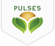 Pulse Brand